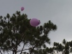 Caylee Blanchard 045 balloons